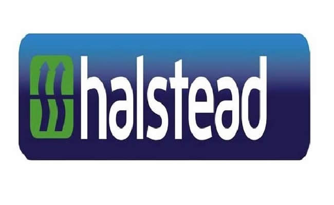 HALSTEAD  500593